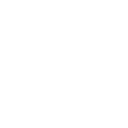 أقحوان للفتيات